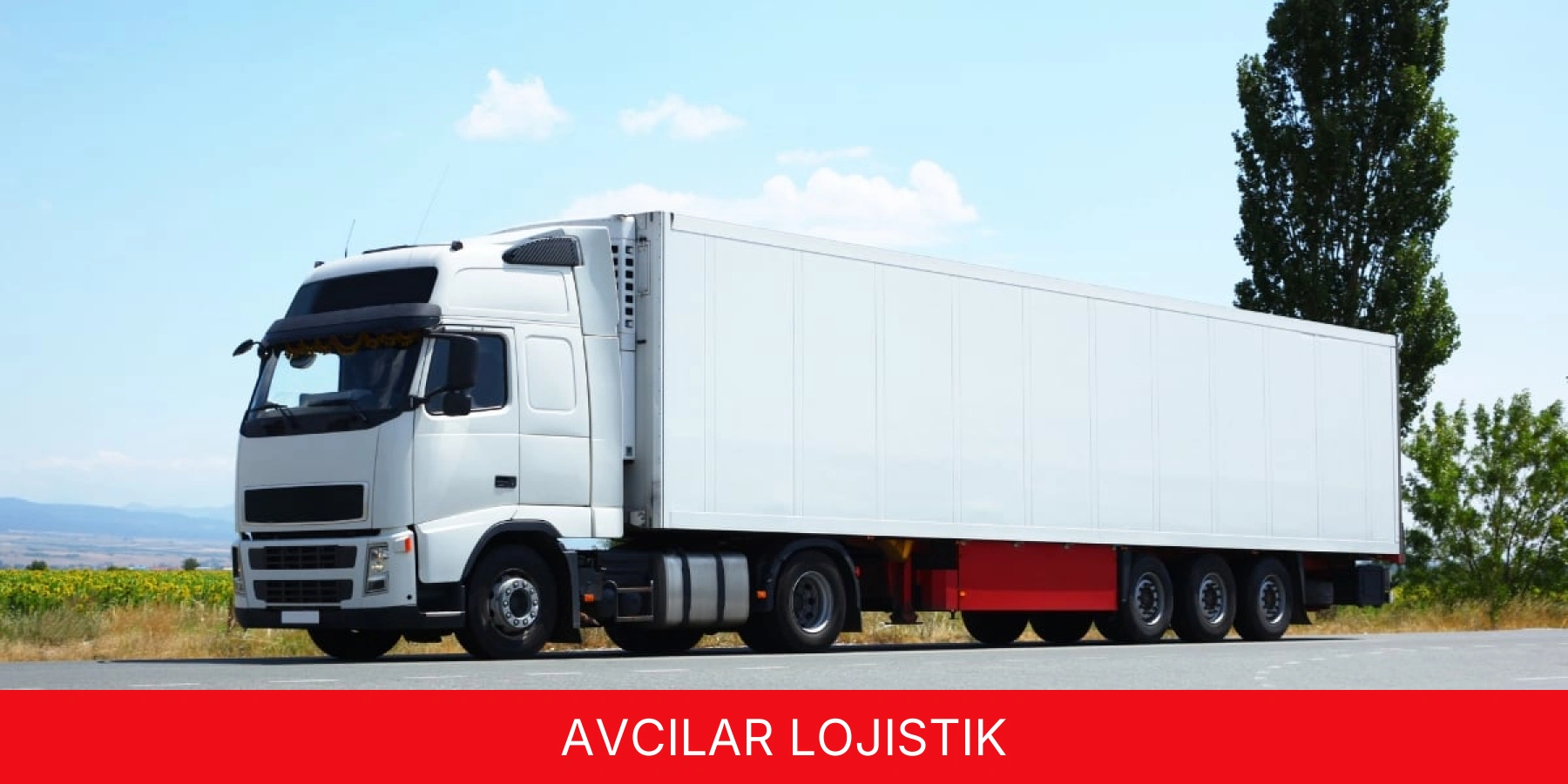 Avcılar Lojistik